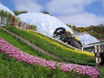 The Bee at the Eden Project