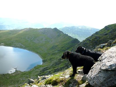 Morgan and Scruffy enjoying the views