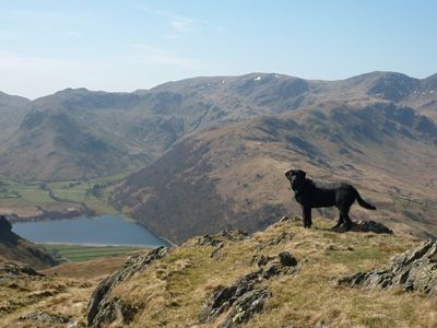 Lake District Pet Friendly Holidays