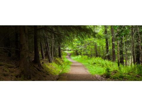 Ben Wyvis Lodges Spring Offer Ben Wyvis Lodges Spring Offer