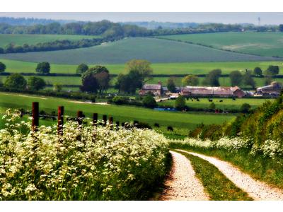 B&B in Blandford Forum, England B&B in Dorset, England