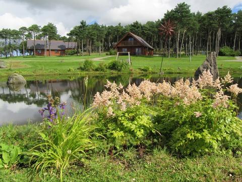 Aberdeenshire Dog Friendly Lodges Aberdeenshire Dog Friendly Lodges