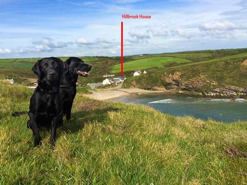 Holiday Cottage in Nolton Haven, Wales Holiday Cottage in Pembrokeshire, Wales