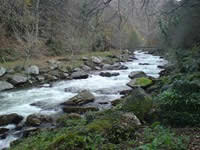 Lower East Lyn River - Photo by Wiki user Jamsta