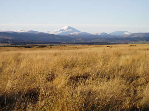 Ben Ledi from Kippen Muir, © Derek Townsend 2006