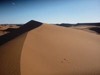 Sahara Sand Dunes Photo © Rob Shephard 2010