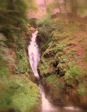 Aira Force © Michael Pitchford 2007