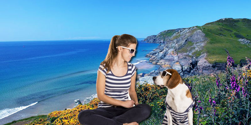 Dog Friendly Cottages Devon Dog Friendly Cottages Devon