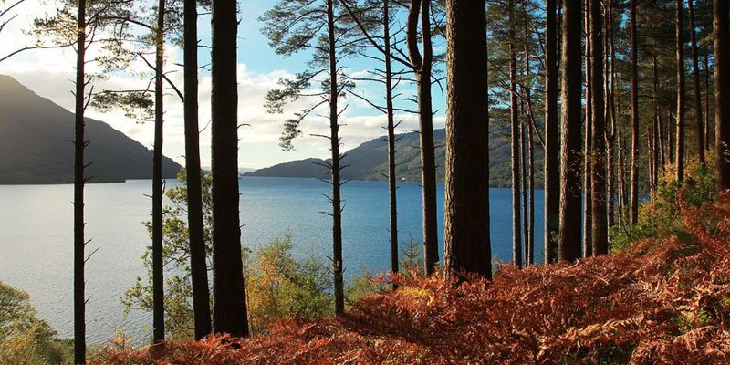 Loch Lomond and the Trossachs Loch Lomond and the Trossachs