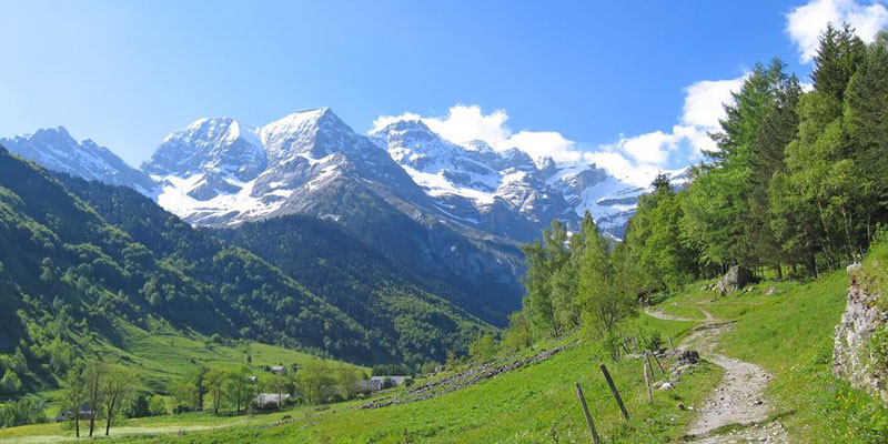 The Pyrenees