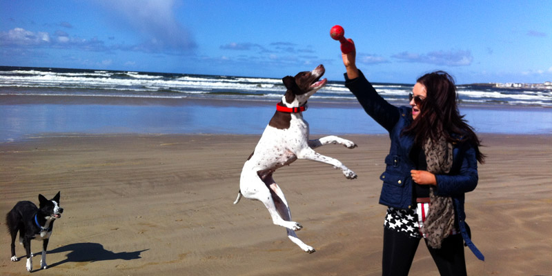 Pet and Dog Friendly Cottages in Scotland Pet and Dog Friendly Cottages in Scotland