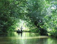 Loch, Lake, Waterfall in Coulon, France Loch, Lake, Waterfall in Vendee, France