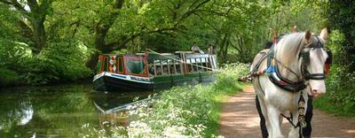 Tour and Trip in Tiverton, England Tour and Trip in Devon, England