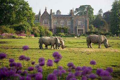 Nature Reserve in Burford, England Nature Reserve in Oxfordshire, England