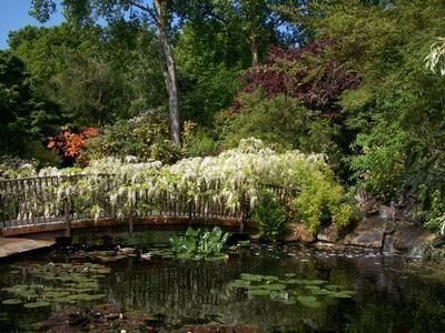 Park, Garden or Woodland in St Austell, England Park, Garden or Woodland in Cornwall, England