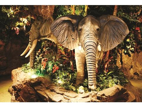 Child Friendly Attraction in London, England Child Friendly Attraction in Greater London, England