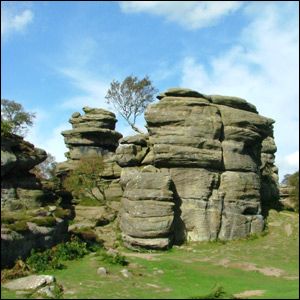 Park, Garden or Woodland in Harrogate, England Park, Garden or Woodland in North Yorkshire, England