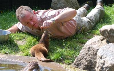 Zoo, Animal Centre or Park in Buckfastleigh, England Zoo, Animal Centre or Park in Devon, England