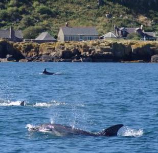 Boat Trip in Largs, Scotland Boat Trip in North Ayrshire, Scotland