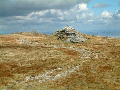 Park, Garden or Woodland in Dartmoor, England Park, Garden or Woodland in Devon, England