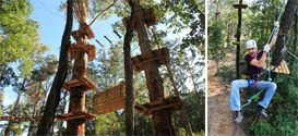 Park, Garden or Woodland in Belgrave, Australia Park, Garden or Woodland in Victoria, Australia