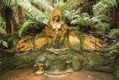 Nature Reserve in Mount Dandenong, Australia Nature Reserve in Victoria, Australia