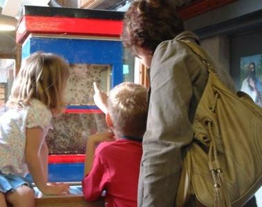 Visitor Centre or Museum in South Molton, England Visitor Centre or Museum in Devon, England