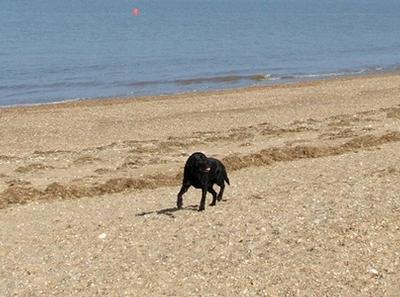 Beach in Snettisham, England Beach in Norfolk, England