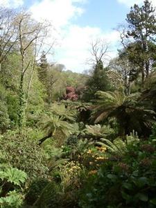 Park, Garden or Woodland in St Austell, England Park, Garden or Woodland in Cornwall, England