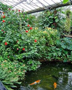 Park, Garden or Woodland in Leeds, England Park, Garden or Woodland in North Yorkshire, England