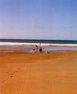Beach in Aberdovey, Wales Beach in Gwynedd, Wales