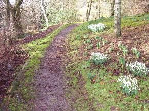 Park, Garden or Woodland in Balmacara, Scotland Park, Garden or Woodland in The Highlands, Scotland