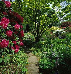 Park, Garden or Woodland in Perth, Scotland Park, Garden or Woodland in Perth and Kinross, Scotland