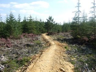 Park, Garden or Woodland in Yorkshire, England Park, Garden or Woodland in North Yorkshire, England