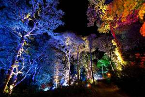 Festival and Event in Pitlochry, Scotland Festival and Event in Perth and Kinross, Scotland