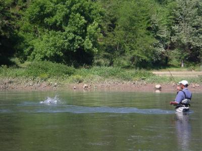 Fishing Available in Pau, France Fishing Available in Pyrenees-Atlantiques, France