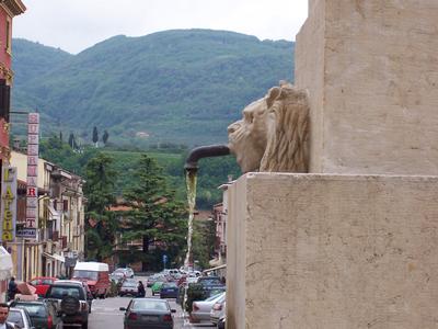 in negrar, Italy in Veneto, Italy