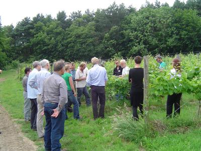 Tour and Trip in ROBERTSBRIDGE, England Tour and Trip in East Sussex, England