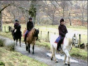 Child Friendly Attraction in Kilchattan Bay, Scotland Child Friendly Attraction in Argyll and Bute, Scotland