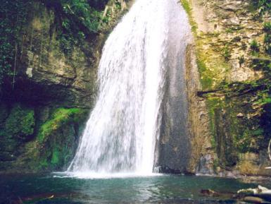 in negrar, Italy in Veneto, Italy