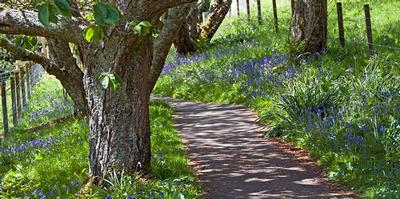 in Arduine, Scotland in Argyll and Bute, Scotland