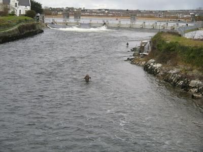 Loch, Lake, Waterfall in Galway, Ireland Loch, Lake, Waterfall in County Galway, Ireland