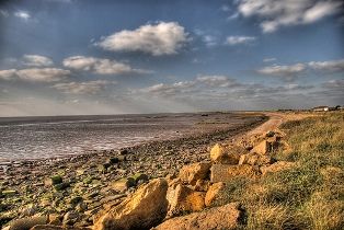 Nature Reserve in Hull, England Nature Reserve in East Yorkshire, England