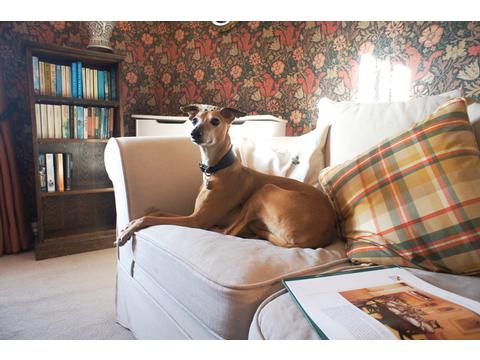 Special Offer for Fox Cottage Self Catering Helmsley North Yorkshire Special Offer for Fox Cottage Self Catering Helmsley North Yorkshire
