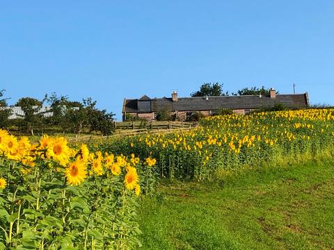 Holiday Cottage in Kelso, Scotland Holiday Cottage in Scottish Borders, Scotland