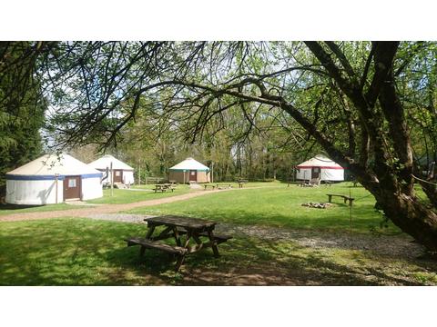 Campsite in Liverton, England Campsite in Devon, England