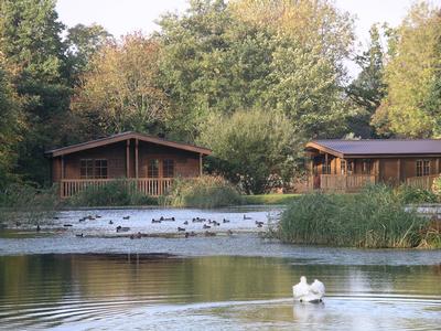 dog friendly breaks new forest