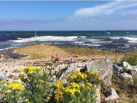 Brora Seaside Cottage Self Catering Accommodation In Sutherland Highla