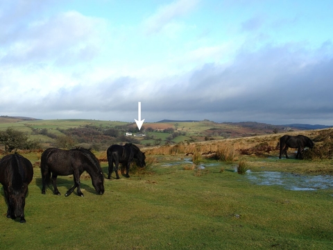 Holiday Cottage in Widecombe-in-the-moor, England Holiday Cottage in , England
