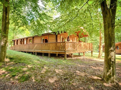 Holiday Cottage in Kenwick woods, England Holiday Cottage in Lincolnshire, England
